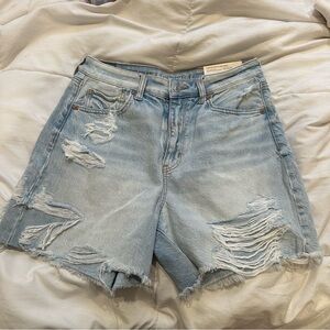 American Eagle Outfitters Women's Ripped Light Blue Jean Shorts